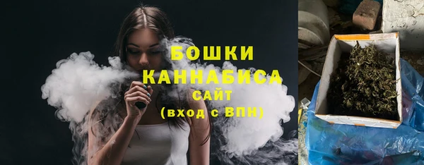 крисы Магадан