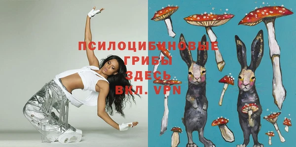 соль ск Майский