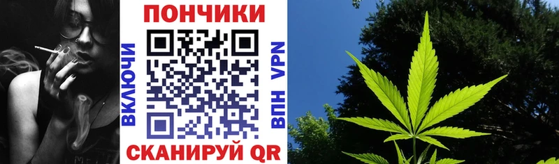 Купить  Шилка  Конопля Ganja 